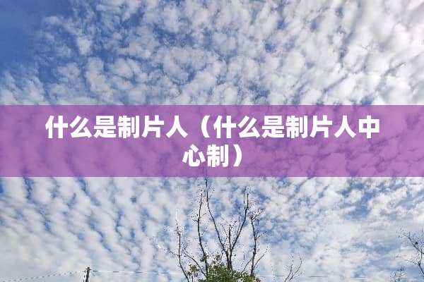 什么是制片人(什么是制片人中心制) 什么是制片人(什么是制片人中心制)