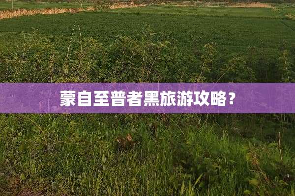 蒙自至普者黑旅游攻略？