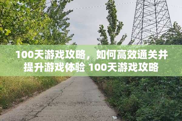 100天游戏攻略,如何高效通关并提升游戏体验 100天游戏攻略 100天游戏攻略,如何高效通关并提升游戏体验 100天游戏攻略