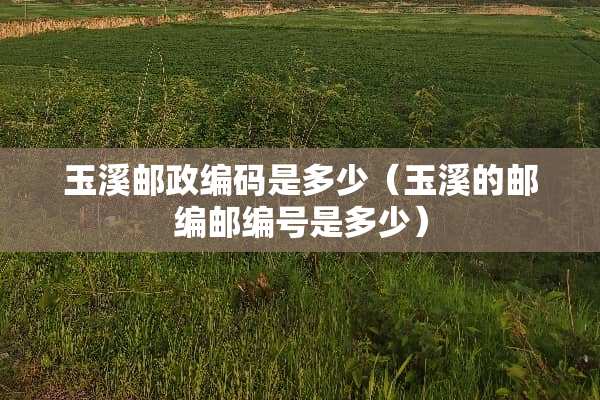 玉溪邮政编码是多少(玉溪的邮编邮编号是多少) 玉溪邮政编码是多少(玉溪的邮编邮编号是多少)