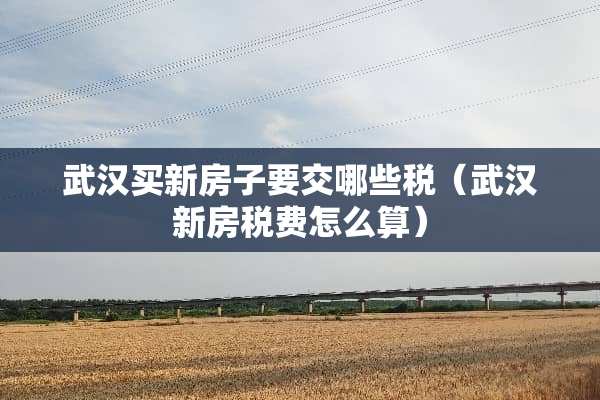 武汉买新房子要交哪些税（武汉新房税费怎么算）