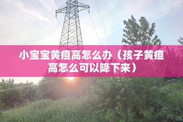 小宝宝黄疸高怎么办(孩子黄疸高怎么可以降下来) 小宝宝黄疸高怎么办(孩子黄疸高怎么可以降下来)