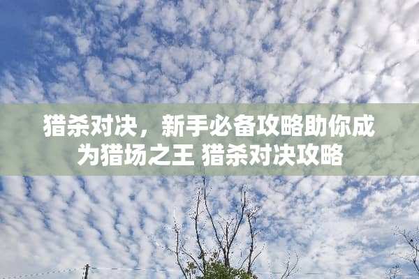 猎杀对决,新手必备攻略助你成为猎场之王 猎杀对决攻略 猎杀对决,新手必备攻略助你成为猎场之王 猎杀对决攻略
