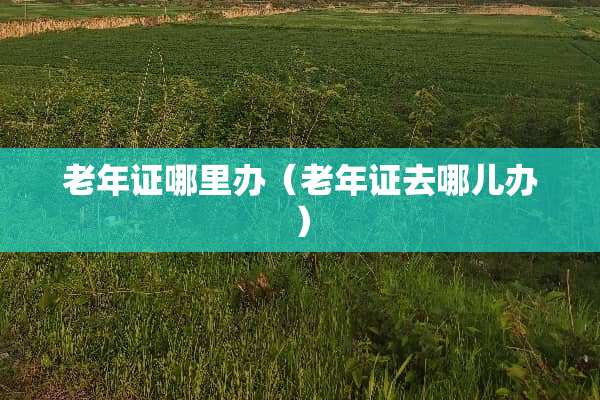 老年证哪里办(老年证去哪儿办) 老年证哪里办(老年证去哪儿办)