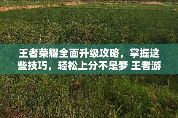 王者荣耀全面升级攻略，掌握这些技巧，轻松上分不是梦 王者游戏升级攻略