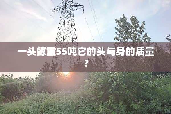 一头鲸重55吨它的头与身的质量？