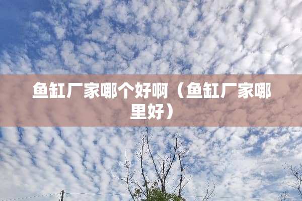 鱼缸厂家哪个好啊(鱼缸厂家哪里好) 鱼缸厂家哪个好啊(鱼缸厂家哪里好)