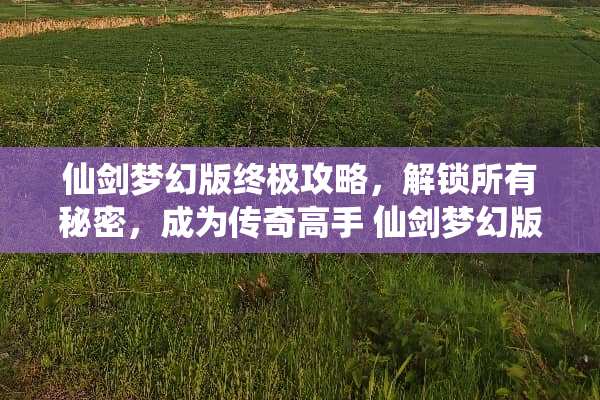 仙剑梦幻版终极攻略,解锁所有秘密,成为传奇高手 仙剑梦幻版攻略 仙剑梦幻版终极攻略,解锁所有秘密,成为传奇高手 仙剑梦幻版攻略