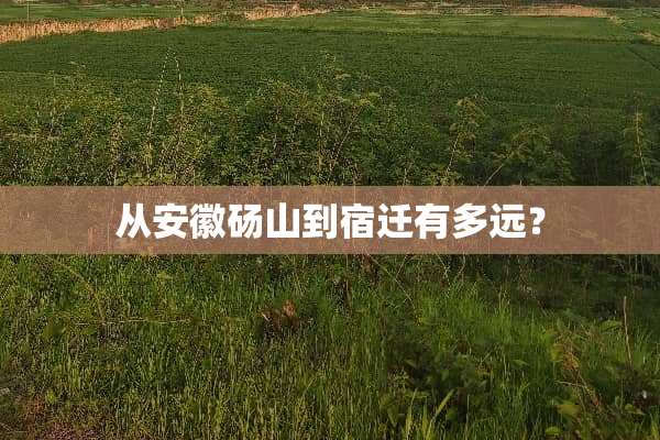 从安徽砀山到宿迁有多远？