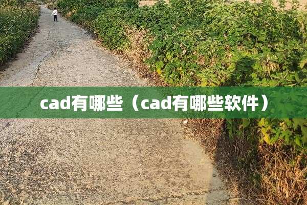 cad有哪些(cad有哪些软件) cad有哪些(cad有哪些软件)