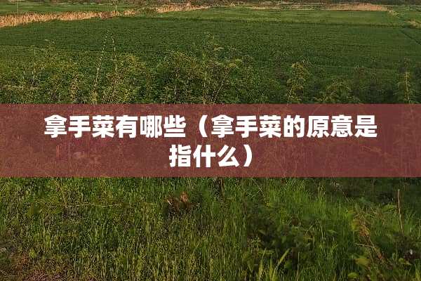 拿手菜有哪些（拿手菜的原意是指什么）