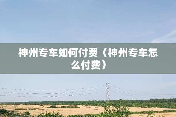 神州专车如何付费（神州专车怎么付费）