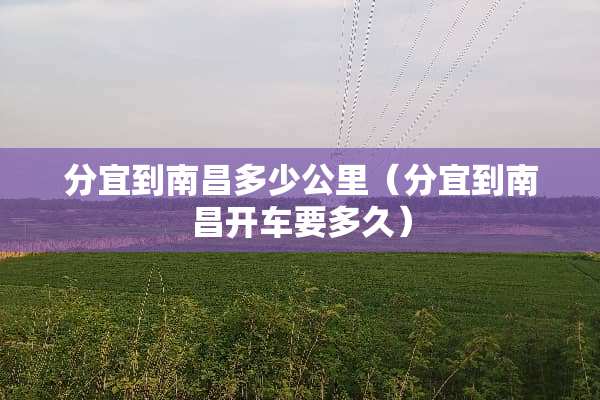 分宜到南昌多少公里（分宜到南昌开车要多久）