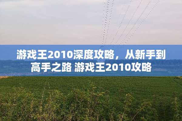 游戏王2010深度攻略，从新手到高手之路 游戏王2010攻略