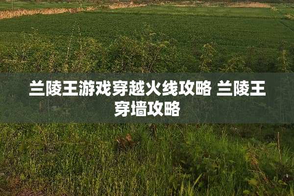 兰陵王游戏穿越火线攻略 兰陵王穿墙攻略
