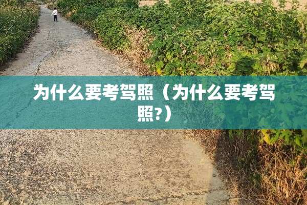 为什么要考驾照（为什么要考驾照?）
