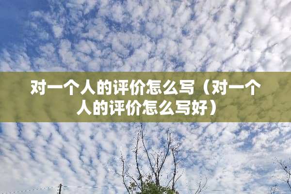 对一个人的评价怎么写（对一个人的评价怎么写好）