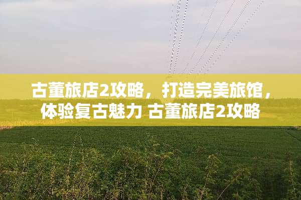 古董旅店2攻略，打造完美旅馆，体验复古魅力 古董旅店2攻略