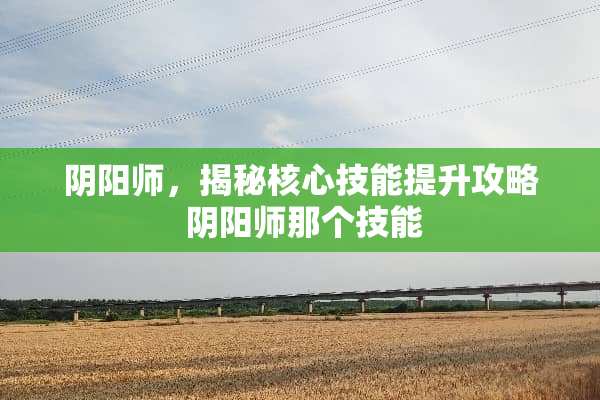 *阳师，揭秘核心技能提升攻略*阳师那个技能