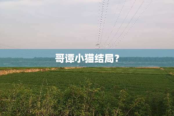 哥谭小猫结局？
