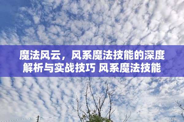 魔法风云，风系魔法技能的深度解析与实战技巧 风系魔法技能