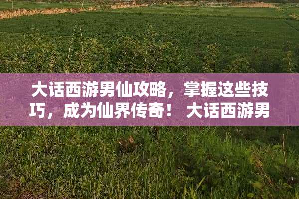 大话西游男仙攻略，掌握这些技巧，成为仙界传奇！ 大话西游男仙攻略