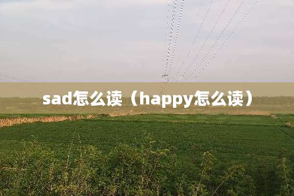 sad怎么读（happy怎么读）