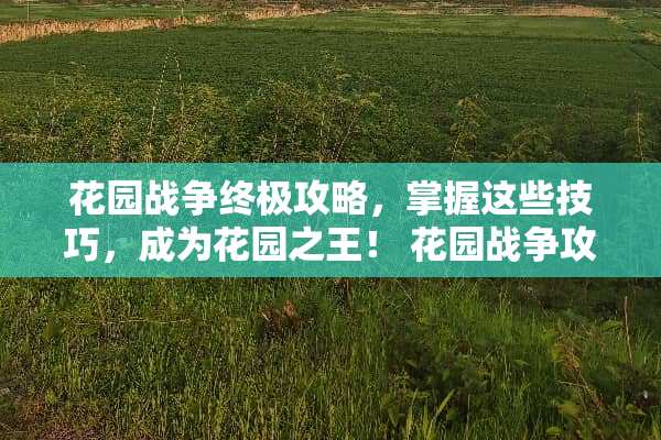 花园战争终极攻略，掌握这些技巧，成为花园之王！ 花园战争攻略
