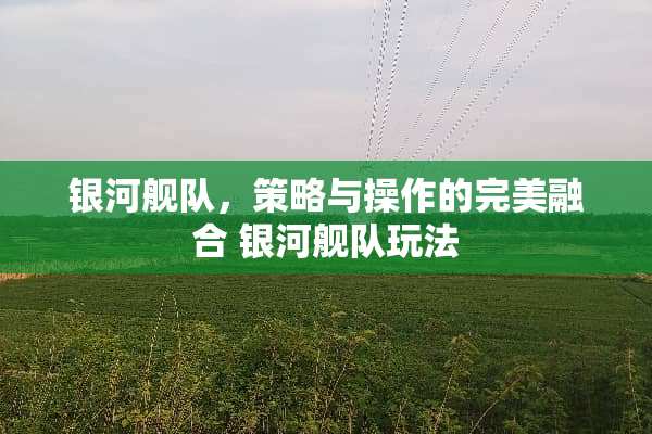 银河舰队，策略与操作的完美融合 银河舰队玩法