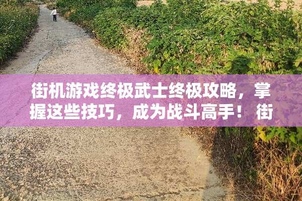 街机游戏终极武士终极攻略,掌握这些技巧,成为战斗高手! 街机游戏终极武士攻略 街机游戏终极武士终极攻略,掌握这些技巧,成为战斗高手! 街机游戏终极武士攻略