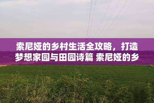 索尼娅的乡村生活全攻略,打造梦想家园与田园诗篇 索尼娅的乡村生活攻略