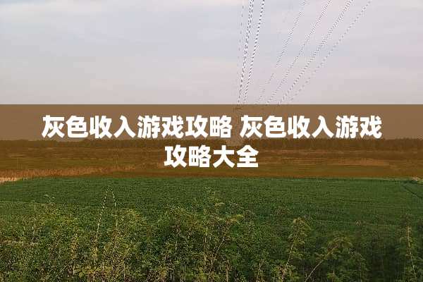 灰色收入游戏攻略 灰色收入游戏攻略大全