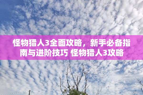 怪物猎人3全面攻略,新手必备指南与进阶技巧 怪物猎人3攻略 怪物猎人3全面攻略,新手必备指南与进阶技巧 怪物猎人3攻略