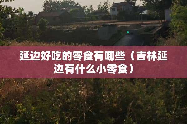 延边好吃的零食有哪些（吉林延边有什么小零食）