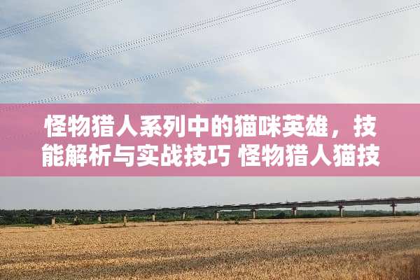 怪物猎人系列中的猫咪英雄,技能解析与实战技巧 怪物猎人猫技能 怪物猎人系列中的猫咪英雄,技能解析与实战技巧 怪物猎人猫技能