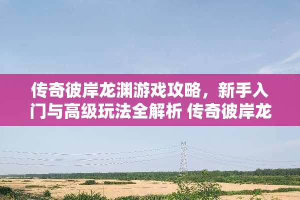 传奇彼岸龙渊游戏攻略，新手入门与高级玩法全解析 传奇彼岸龙渊游戏攻略