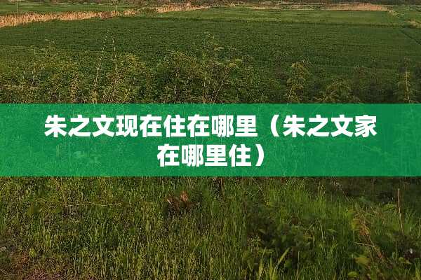 朱之文现在住在哪里（朱之文家在哪里住）