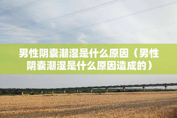 男性*囊潮湿是什么原因（男性*囊潮湿是什么原因造成的）