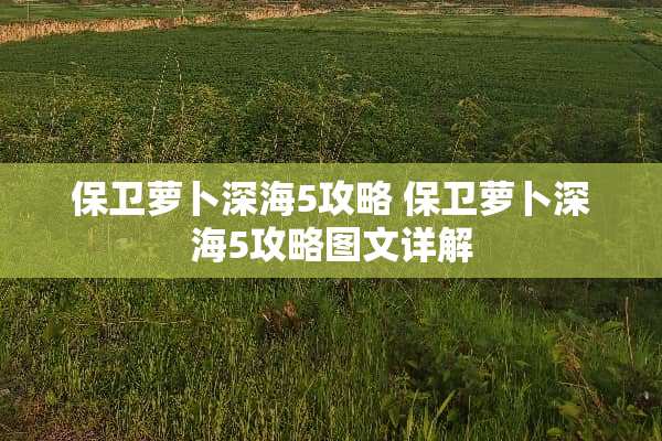 保卫萝卜深海5攻略 保卫萝卜深海5攻略图文详解
