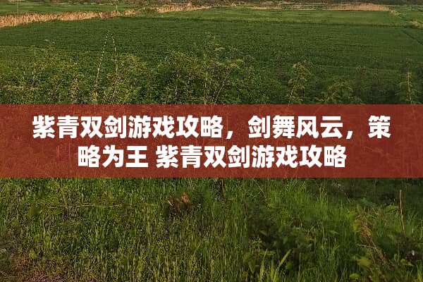 紫青双剑游戏攻略,剑舞风云,策略为王 紫青双剑游戏攻略 紫青双剑游戏攻略,剑舞风云,策略为王 紫青双剑游戏攻略