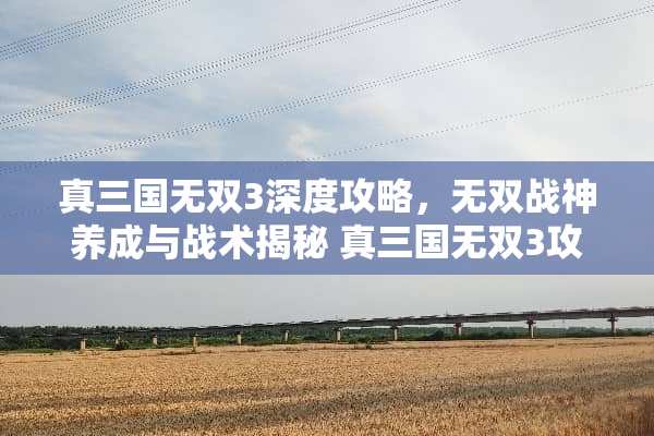 真三国无双3深度攻略，无双战神养成与战术揭秘 真三国无双3攻略
