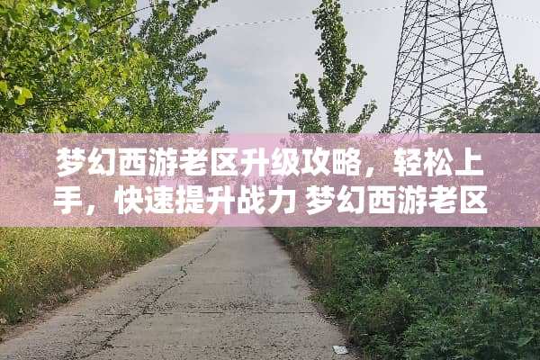 梦幻西游老区升级攻略，轻松上手，快速提升战力 梦幻西游老区升级攻略