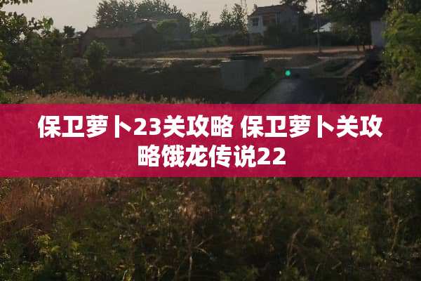 保卫萝卜23关攻略 保卫萝卜关攻略饿龙传说22