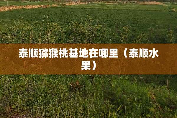 泰顺猕猴桃基地在哪里(泰顺水果) 泰顺猕猴桃基地在哪里(泰顺水果)