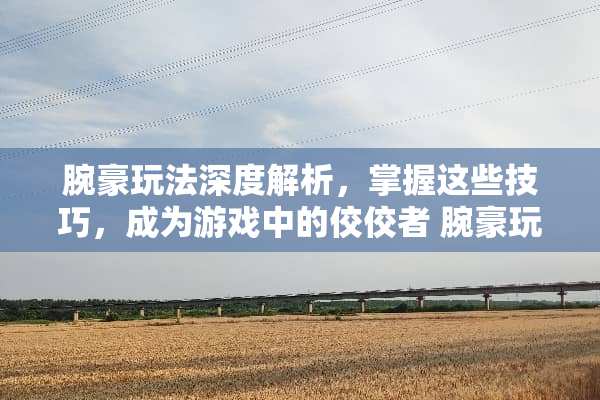 腕豪玩法深度解析，掌握这些技巧，成为游戏中的佼佼者 腕豪玩法技巧
