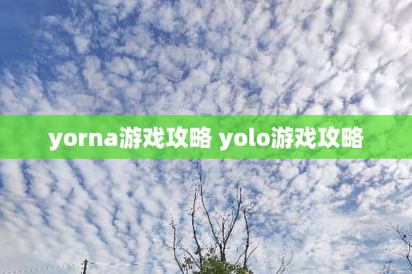 yorna游戏攻略 yolo游戏攻略