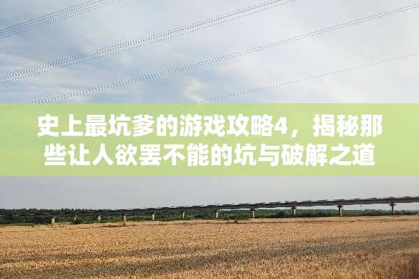 史上最坑爹的游戏攻略4，揭秘那些让**罢不能的坑与**之道 史上最坑爹的游戏攻略4