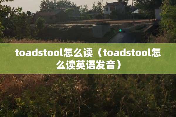 toadstool怎么读（toadstool怎么读英语发音）