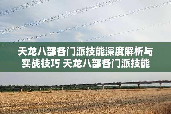 天龙八部各门派技能深度解析与实战技巧 天龙八部各门派技能