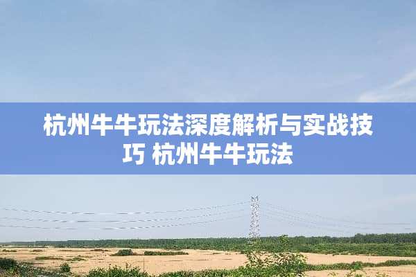 杭州**玩法深度解析与实战技巧 杭州**玩法